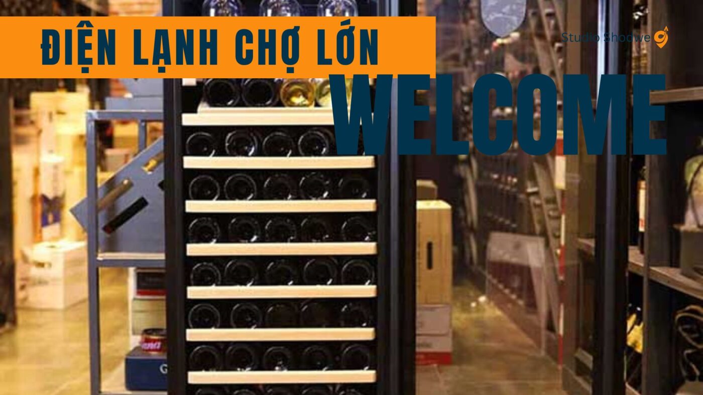 Các lỗi thường gặp khi tủ rượu vang bị hỏng