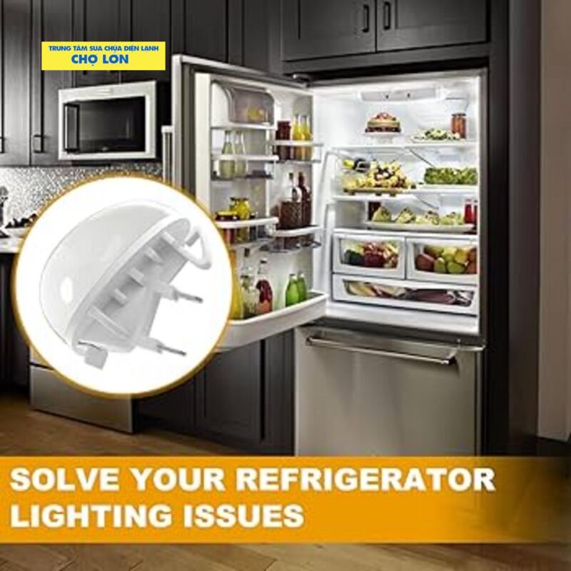 Điện Lạnh Chợ Lớn